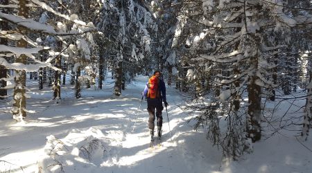 Около 65 км лыжных трасс планируют проложить зимой в Дмитровском округе Подмосковья